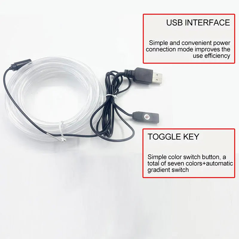 Éclairage Ambiance LED 3 m